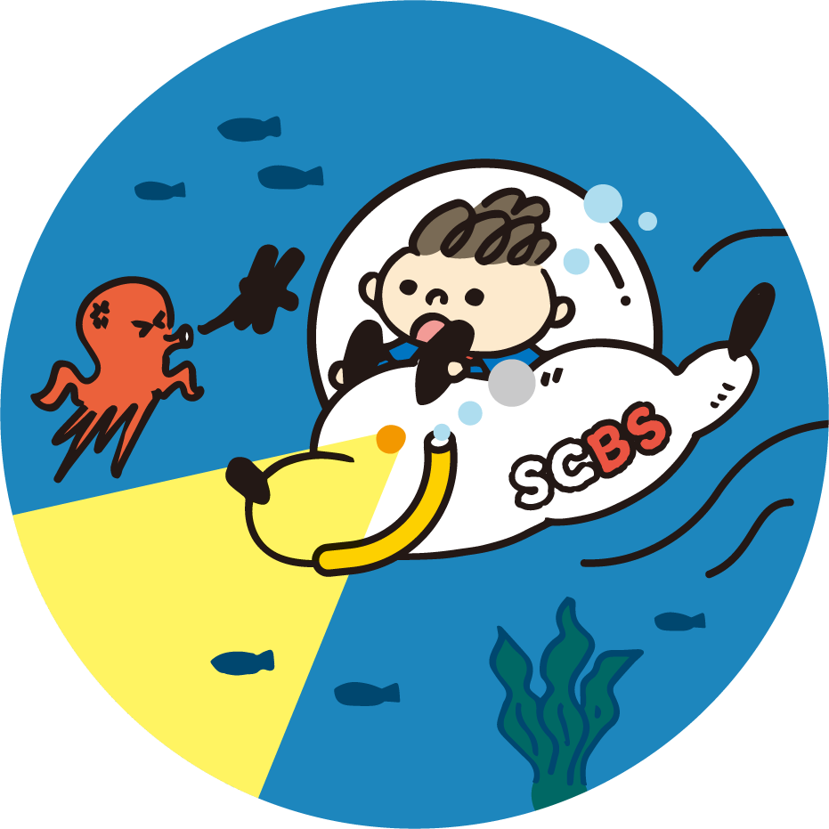 sea
